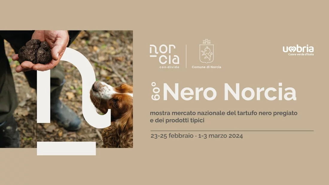 Nero Norcia
