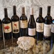 Bordolesi and Grenache made in Veneto: the most awarded wines of the Berici Hills