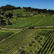Wine Trekking a Lapio, Borgo del Fiano