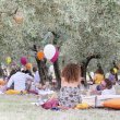 Imbrunire, il picnic tra gli ulivi di Terre Giunchi a Cesena