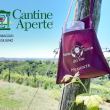 Cantine Aperte 2021 in Piemonte